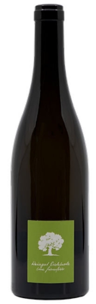 Sauvignon Blanc AOC - 2023