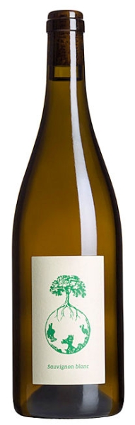 Sauvignon Blanc vom Opok LW - 2022