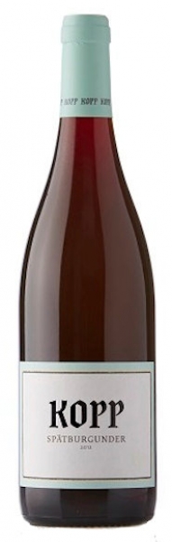 Spätburgunder Gutswein QW - 2022
