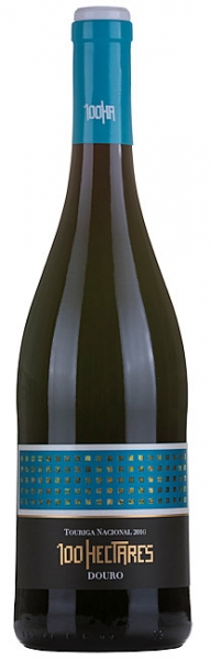 Touriga Nacional DOP - 2021
